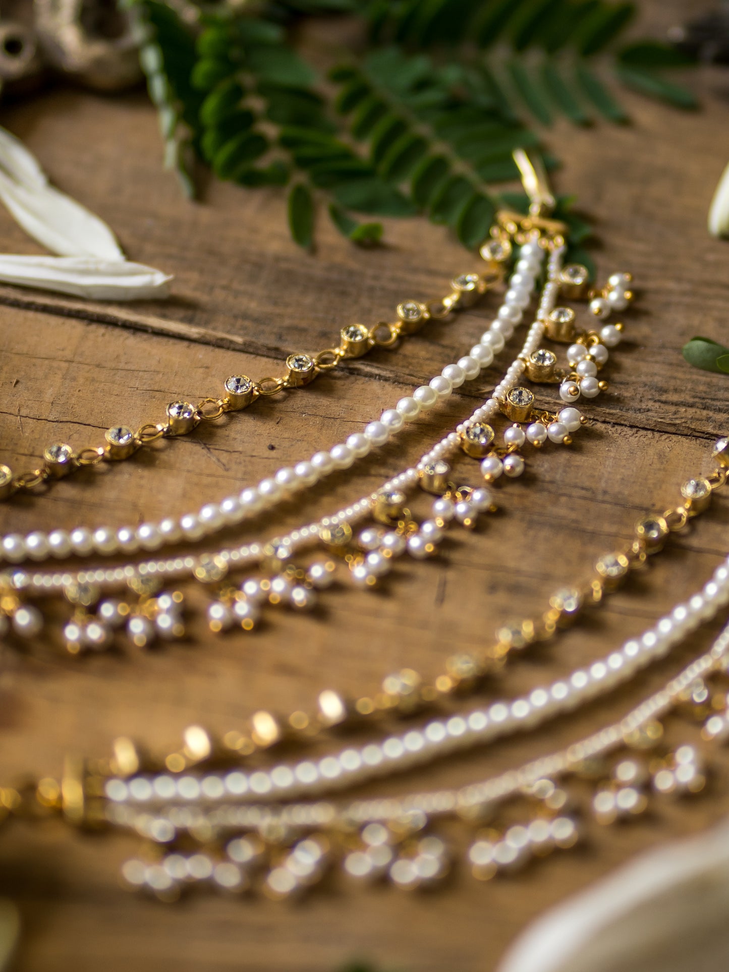 Samridh Earchain - Aaharya